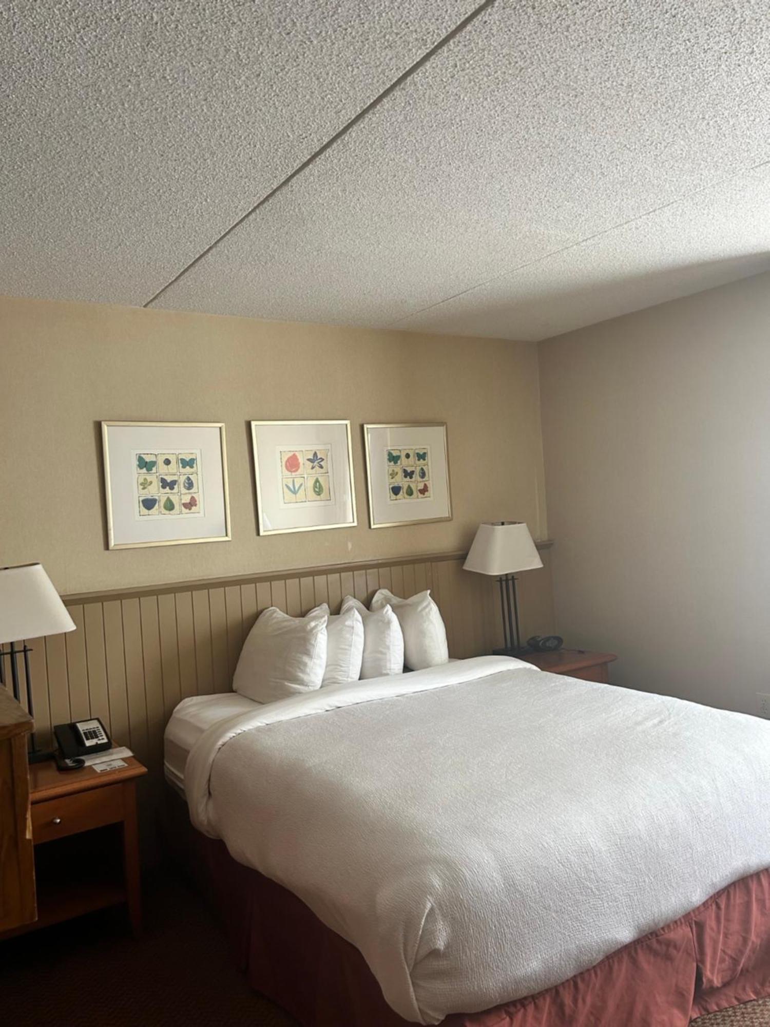 Charlottetown Inn & Conference Centre Bagian luar foto